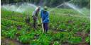 Agricultura: Hacia nuevos caminos, con flexibilidad, pero con orden