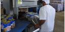 En ascenso producciones de la fábrica La Conchita