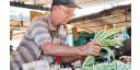 Por mayor énfasis en la producción de alimentos