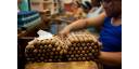 Reconocen potencial de Cuba para diversificar e incrementar exportaciones