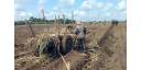 Producción de azúcar abre mayores retos