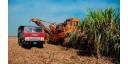 Producción de azúcar abre mayores retos