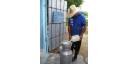 Incrementar esfuerzos para producir más leche
