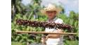 Vistazo económico por Cuba (4 de diciembre)