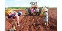 Vistazo económico por Cuba (4 de diciembre)
