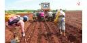 Vistazo económico por Cuba (20 enero)