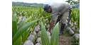 Vistazo económico por Cuba (13 enero 2022)