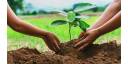 Apuesta cubana por una gestión forestal sostenible