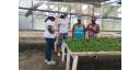Vistazo económico por Cuba (22 junio)