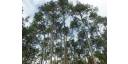 Satisfactorio estado de Reservas de la Biosfera en su día mundial