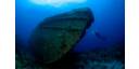 Cuba: Nadar con tiburones, una aventura única