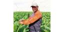 Vistazo económico por Cuba (17 de febrero de 2023)