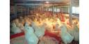 Regresa FIAGROP enfocada a impulsar sector agroalimentario