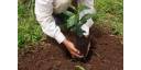 Hacer agricultura con enfoque de paisaje
