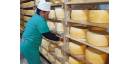 Fábrica de queso de Sibanicú en primera línea