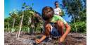 Refuerza sostenibilidad y resiliencia ambiental en ecosistemas cubanos
