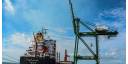 Exportación de bienes creció en Cuba durante febrero