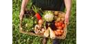 Sustentar, desde lo legal, los sistemas y procesos alimentarios