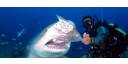 Cover de Noticia w5igTm_01-12-2022_10.12.41.000000.jpg