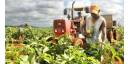 Analizan estado de proyectos de inversión extranjera en Agricultura