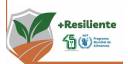 Nuevo seguro para la protección financiera del sector agropecuario