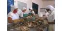 Diversifica producciones Empresa Pesquera Industrial de Cienfuegos