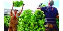 Agricultura, la mesa sigue esperando