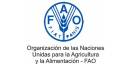 FAO facilita capacitación agrícola en Cuba