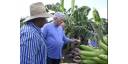 Trabajando y creando las riquezas necesarias es como Cuba saldrá adelante