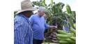 Trabajando y creando las riquezas necesarias es como Cuba saldrá adelante