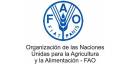 Recibe Cuba apoyo de la FAO para recuperarse del huracán Rafael