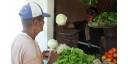 Organopónico Vitaminas Verdes, una nueva oportunidad