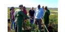 En la agricultura de Cuba debemos hacer mucho más, dijo el miembro del Buró Político del Comité Central del Partido Esteban Lazo Hernández