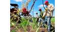 Los índices productivos del sector agroalimentario muestran tendencia al incumplimiento