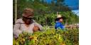 Hacer agricultura con enfoque de paisaje