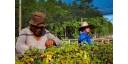 Hacer agricultura con enfoque de paisaje