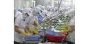 Vietnam se afirma como tercer exportador mundial productos pesqueros