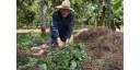 Sabiduría campesina de Enio