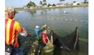 Conpescas Guacanayabo, por la gestión sostenible de los recursos marino-costeros