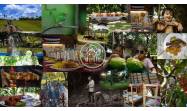 El turismo agroecológico se consolida en Cuba