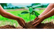 Tarea Vida y agricultura, nexos imprescindibles