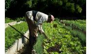 Priorizan cultivos de ciclo corto en el oriente de Cuba