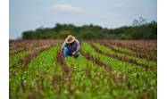 Transformaciones necesarias para mayor producción