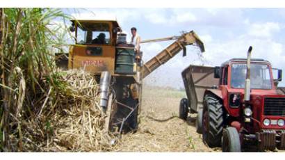 Producción azucarera