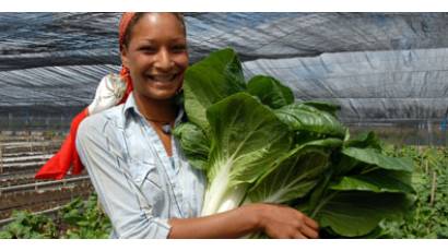 Agricultura urbana