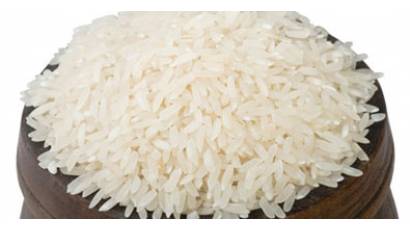 Arroz 