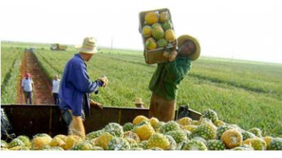 Comercialización de productos agrícolas