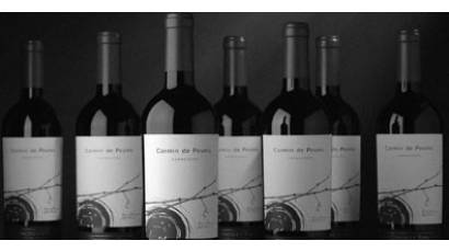 Carmín de Peumo, vino chileno