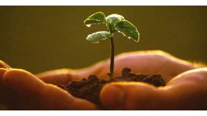 Agricultura Orgánica y Sostenible 