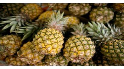 Por el camino de los frutales